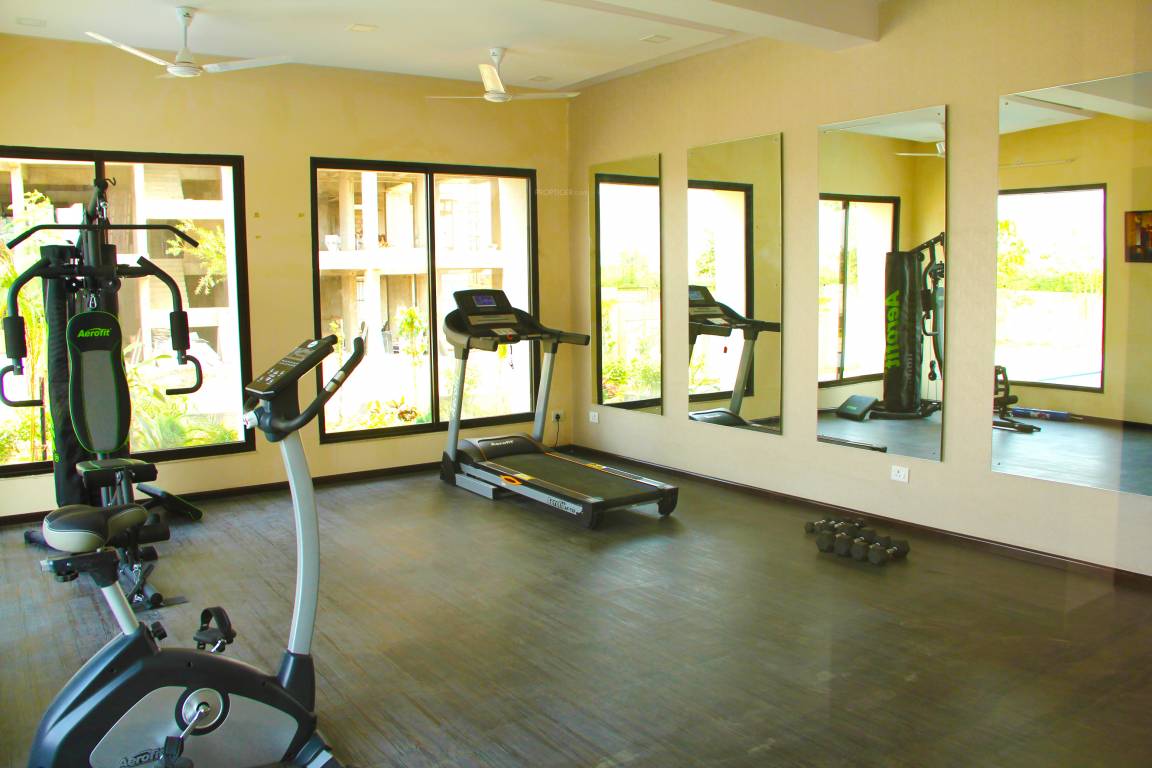  sdpl paradise Gymnasium