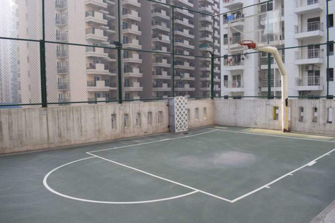 royale phase 2 Basketball Court