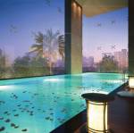 Swimming Pool victoria-vista Swimming Pool