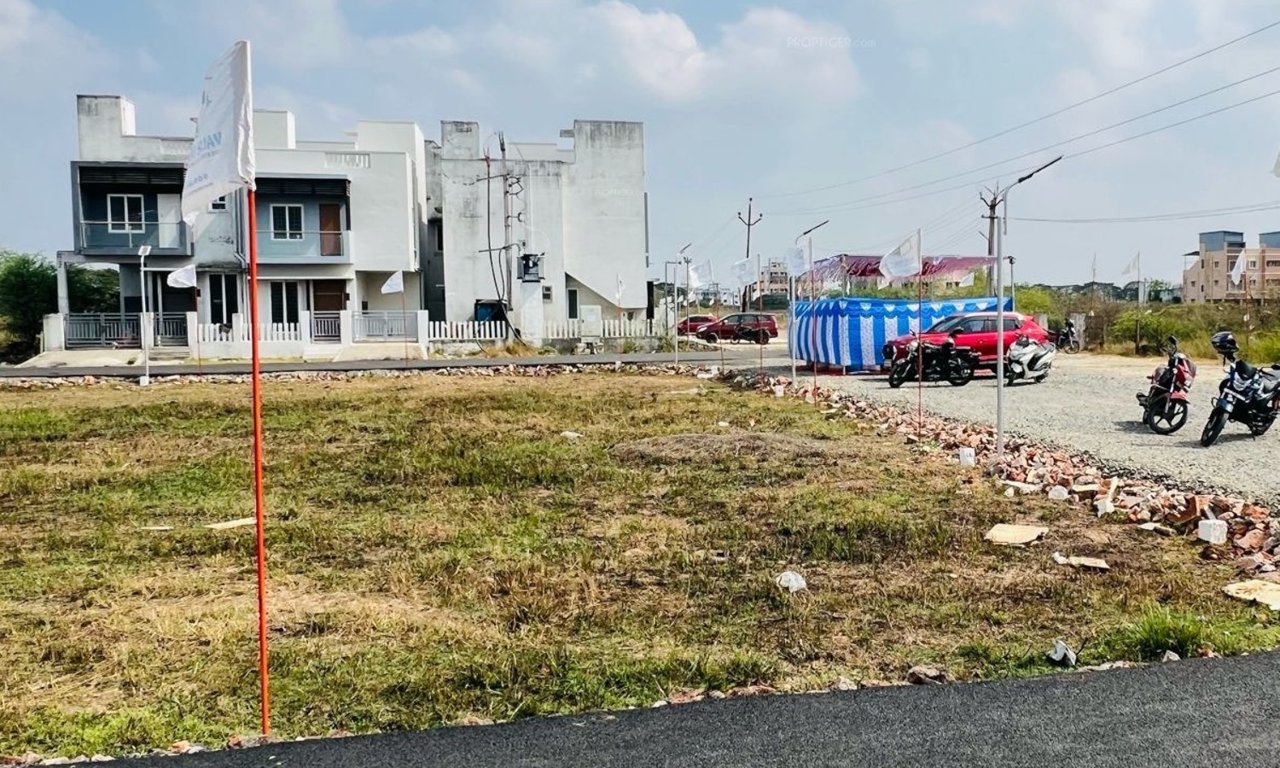  doctors ashville garden Plot