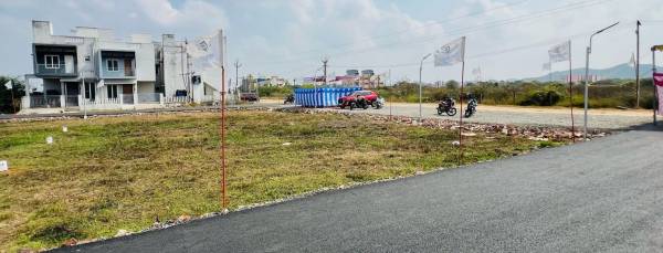  doctors-ashville-garden Plot