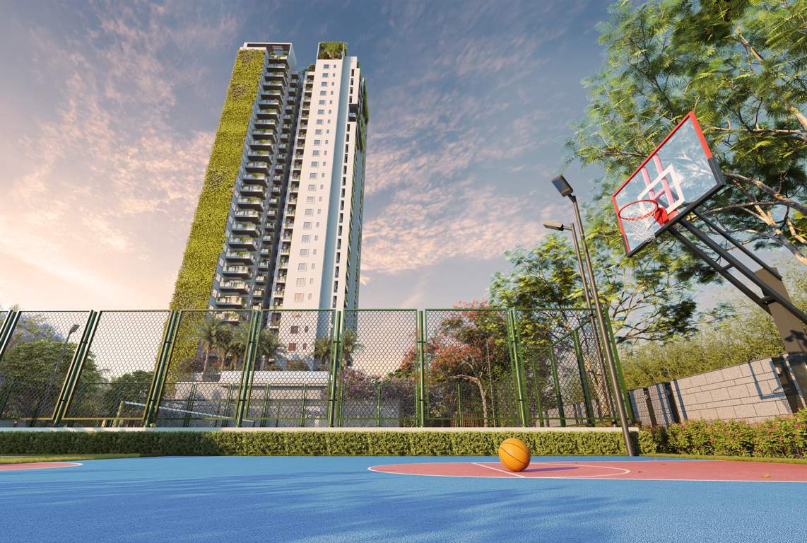  corp sky1 Basketball Court