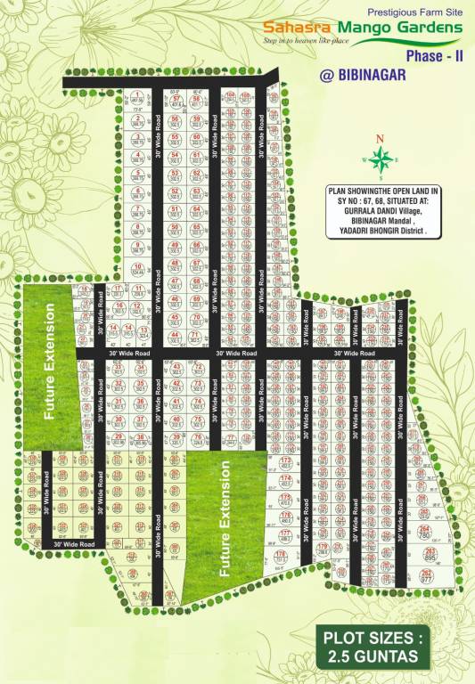  sahasra mango garden Layout Plan
