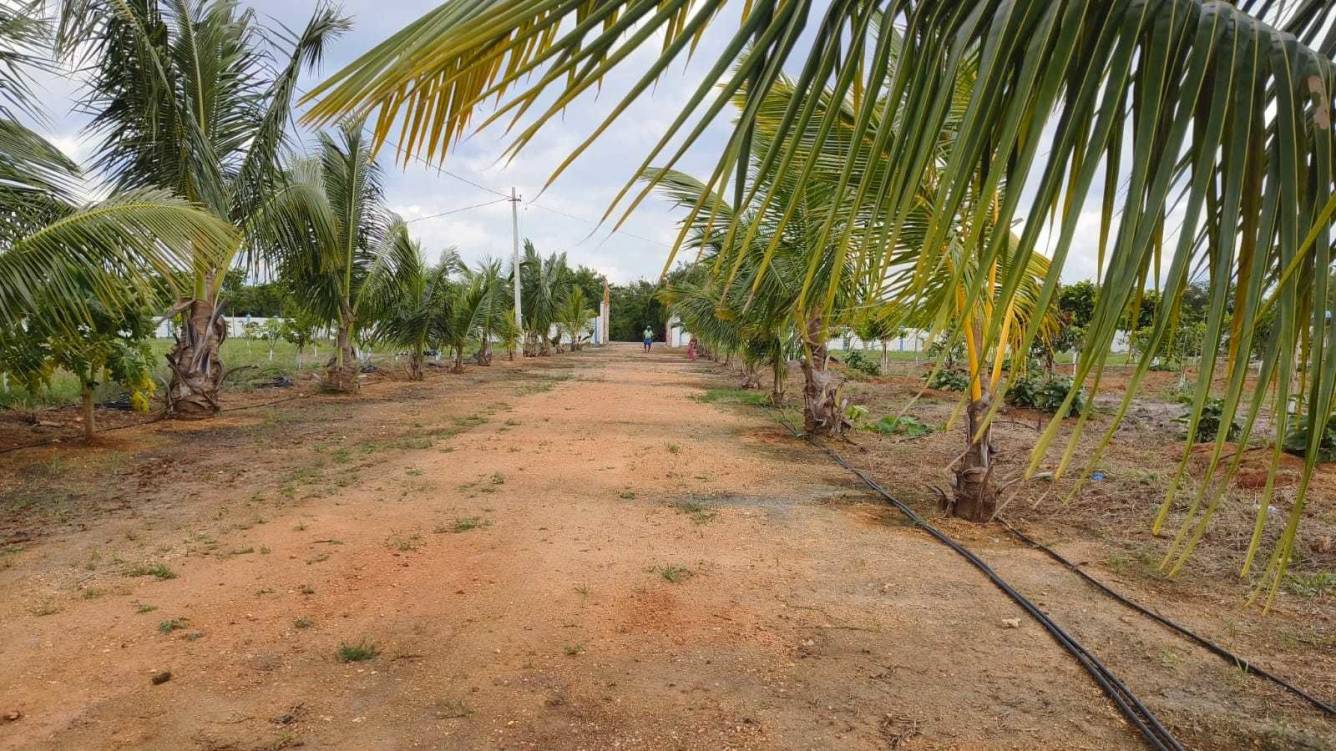  samskruthi farms Plot