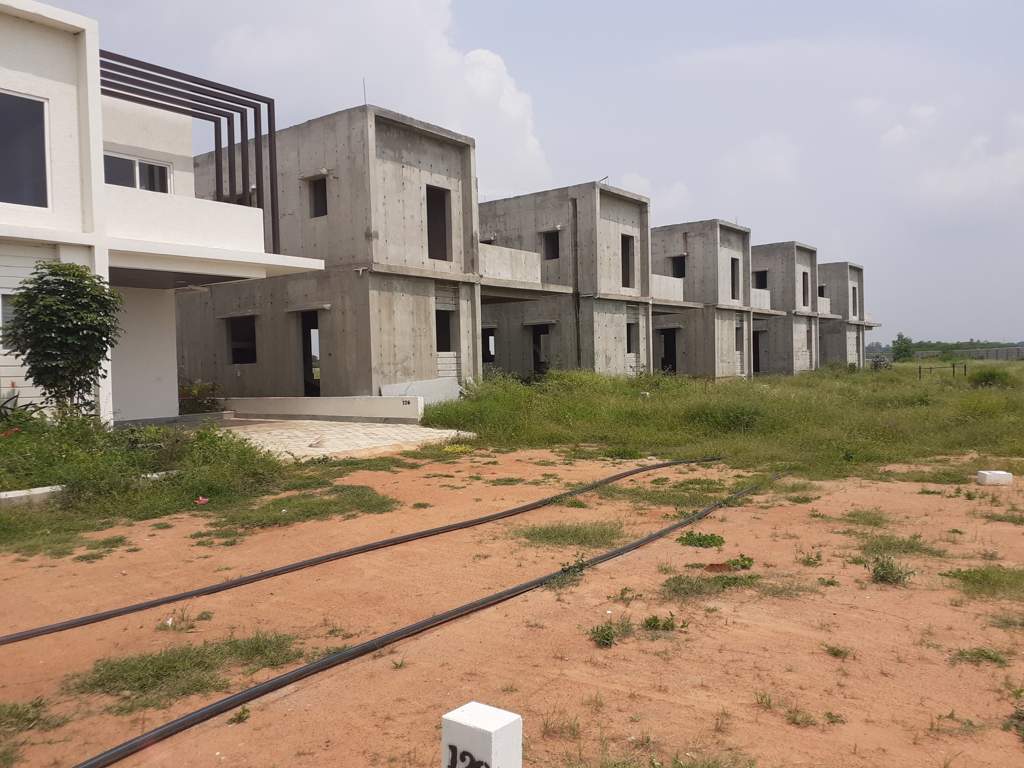  north east county Elevation