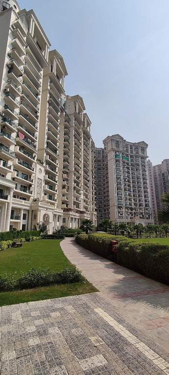  arista phase 2 tower 5 7 8 9 and club Landscape Garden and Tree Planting