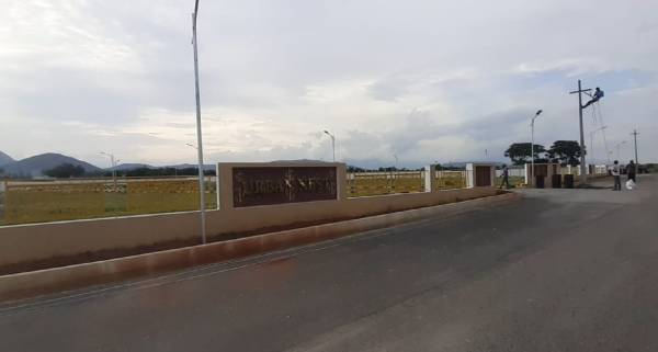  urban-nest Elevation