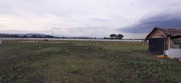 Plot urban-nest Plot