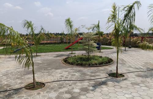  lush-springs Children's play area