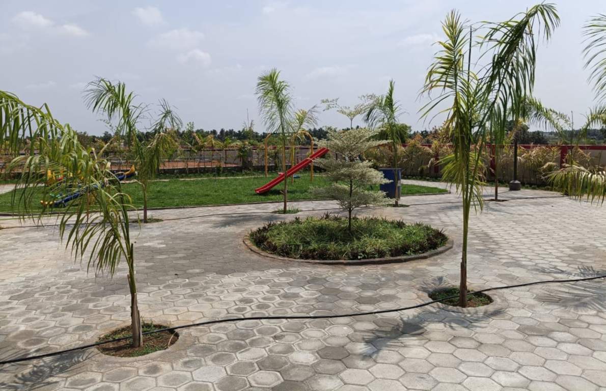  lush springs Children's play area