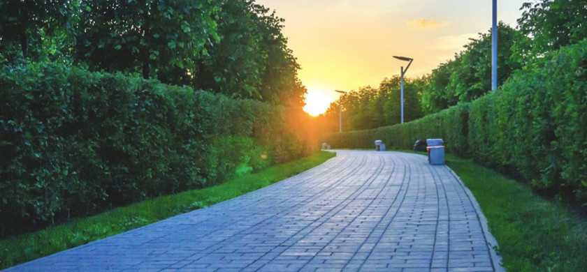  codename zero Others