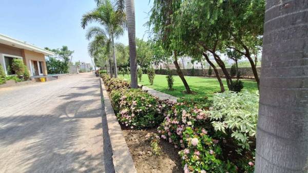 Others paradise Others