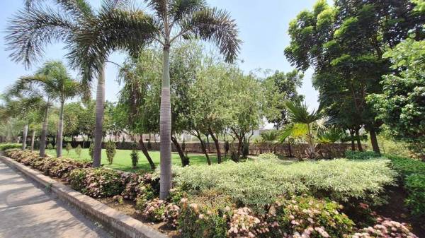 Others paradise Others