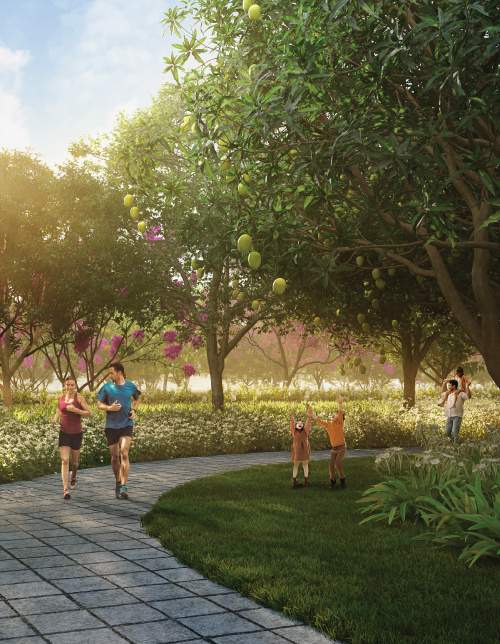  kalpataru ardene Others