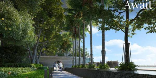  sansara-phase-i Others