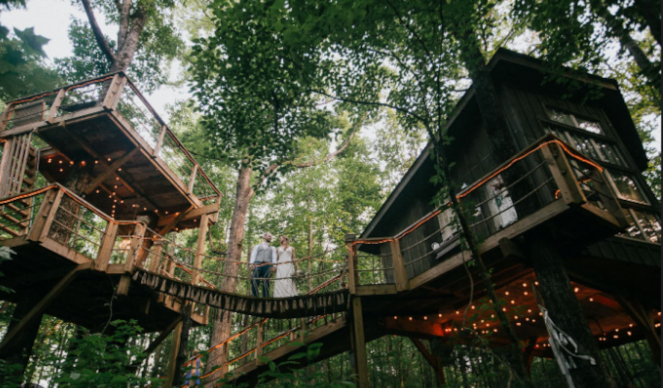 mango orchad tree houses Elevation