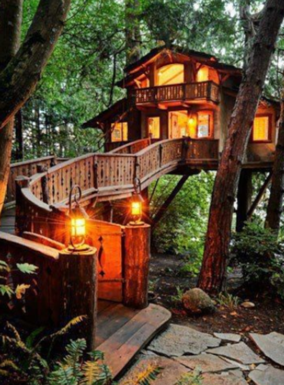 mango orchad tree houses Elevation