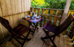  mango-orchad-tree-houses Balcony