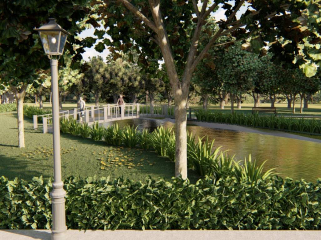  vaibhav upavan Natural Pond