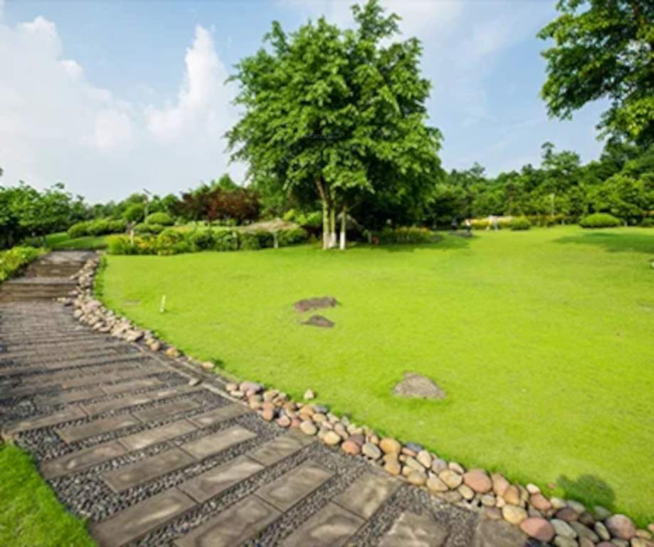  crimson Landscape Garden and Tree Planting