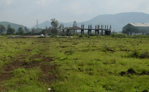  namrata-weekender-country-songs Plot