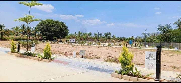  vr royal homes Plot