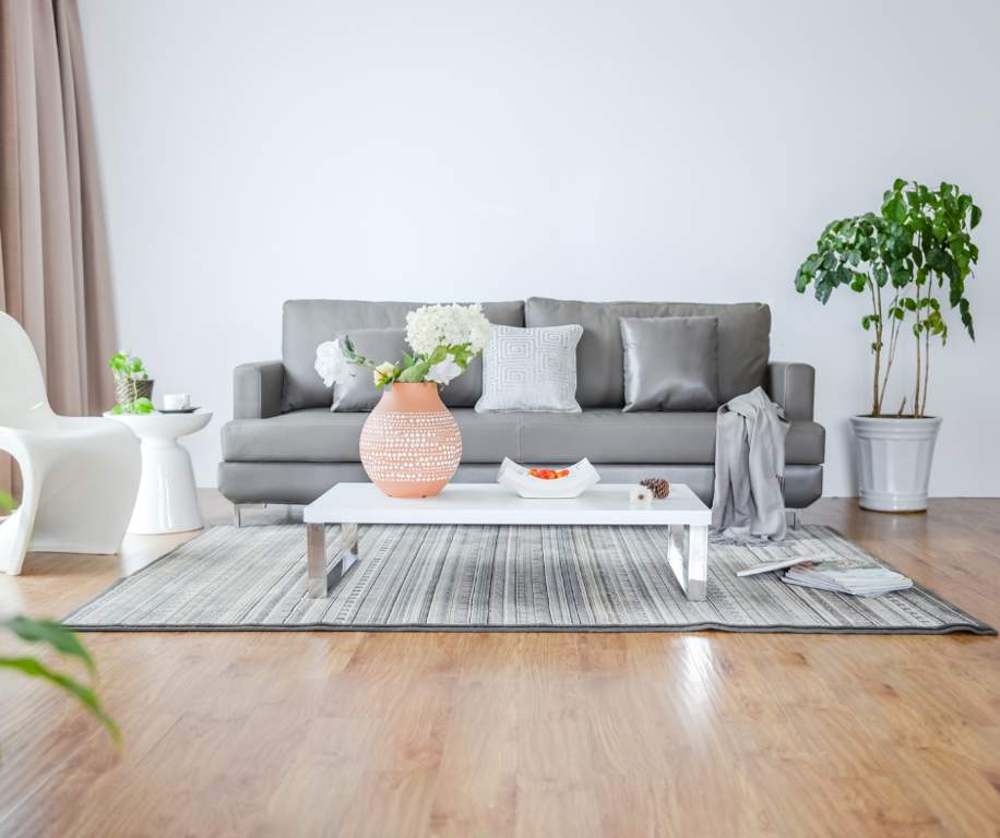  prosperity homes Living Area