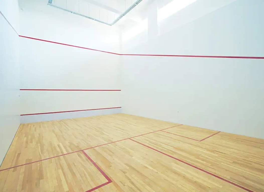  sjr parkway homes Badminton Court