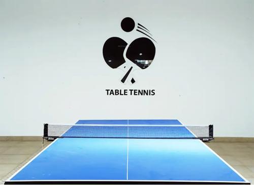  sjr-parkway-homes Table Tennis