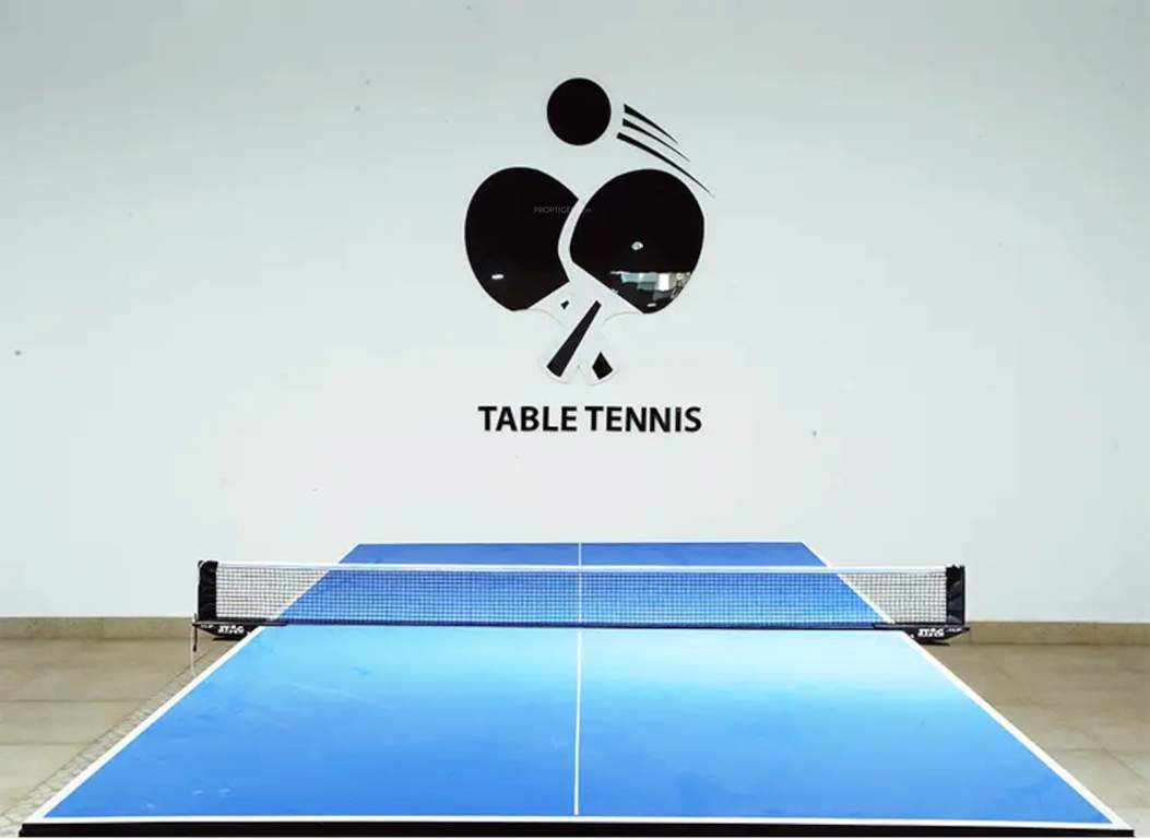  sjr parkway homes Table Tennis