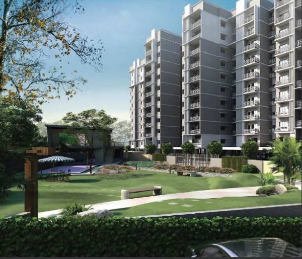  rudraksh-kasturi Others