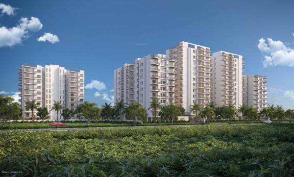 Elevation nivam Elevation