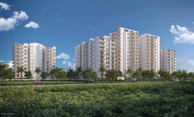 Elevation nivam Elevation