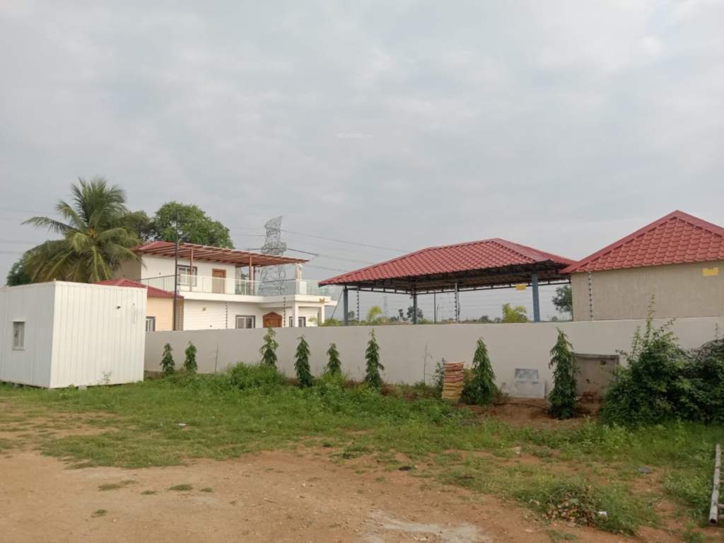 magadha Others