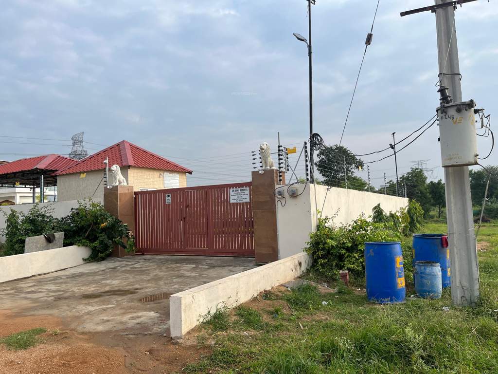  magadha Others