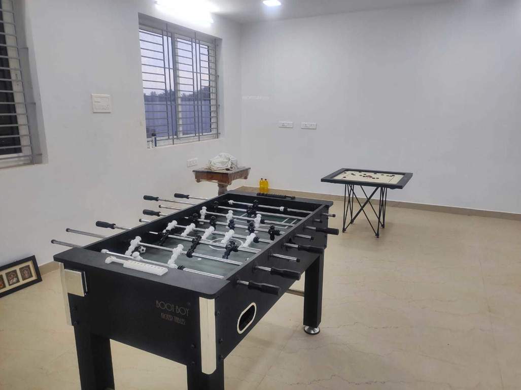  albatross Indoor Games