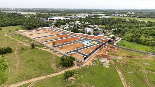 dazzle-city Elevation