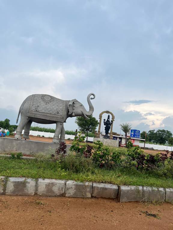  srinivasam Plot