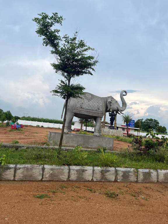  srinivasam Plot