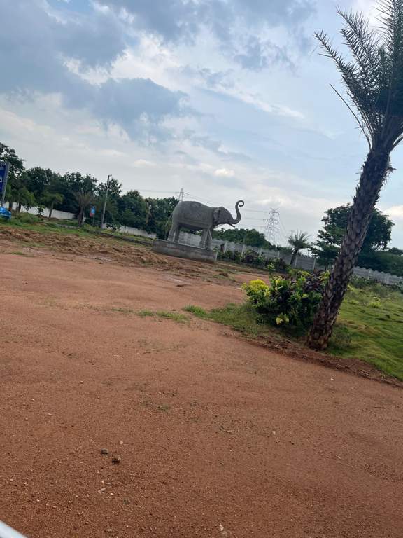  srinivasam Plot