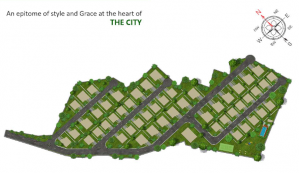 Layout Plan orchard Layout Plan