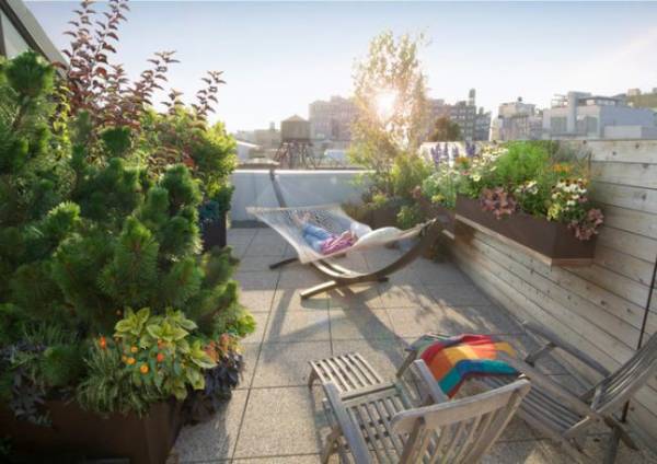  the-courtyard Others