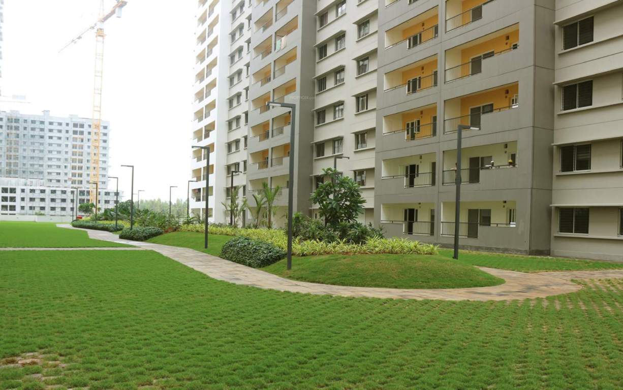  dream acres palm springs phase 13 wing 52 Landscape Garden and Tree Planting