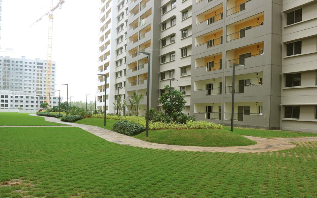  dream acres palm springs phase 14 wing 53 Landscape Garden and Tree Planting