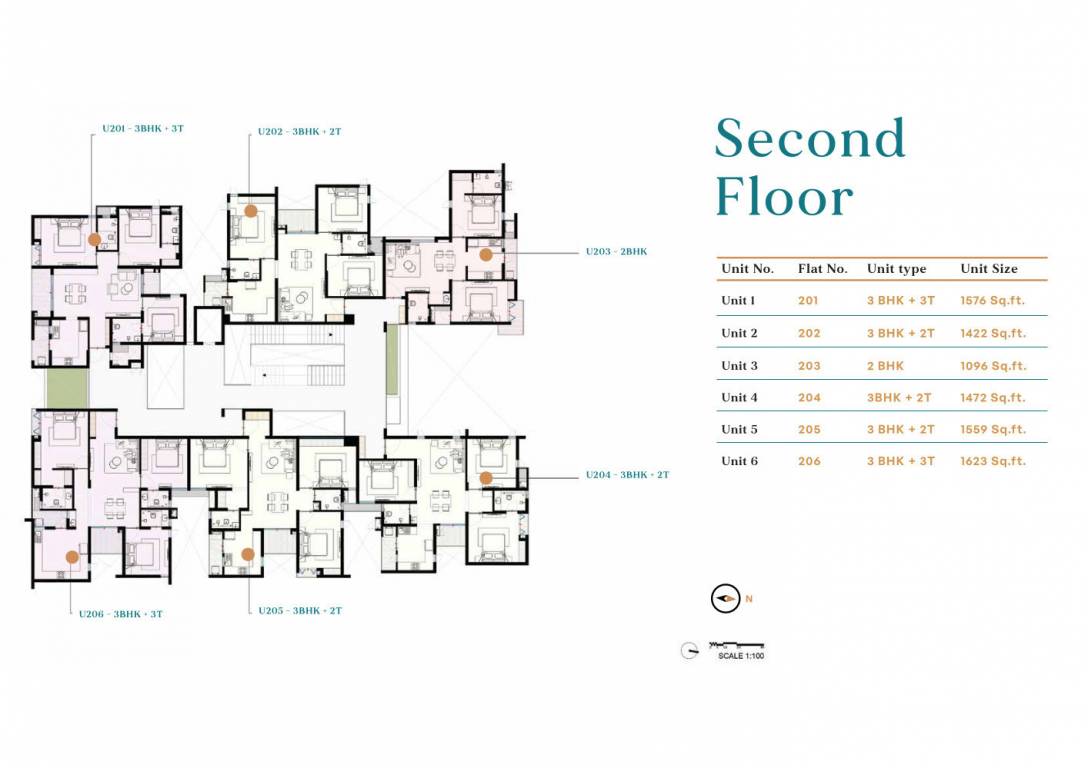  alpha signature Alpha Signature Cluster Plan