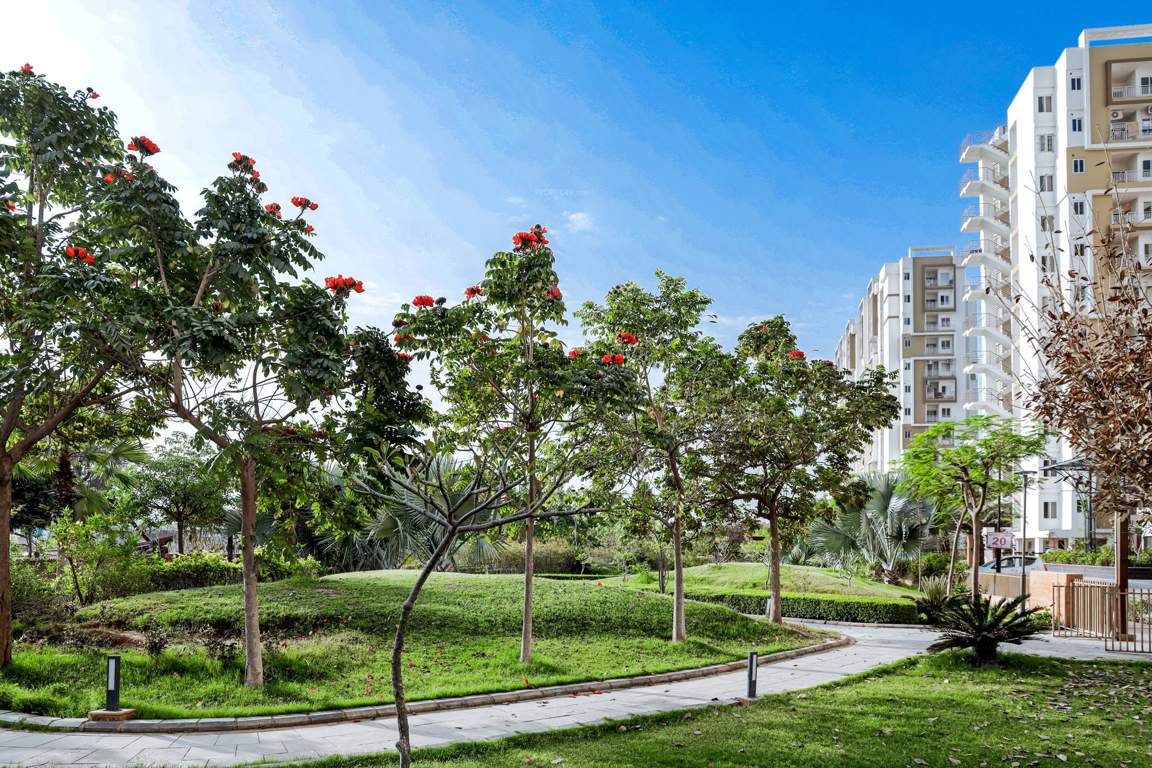  tarang part a Landscape Garden and Tree Planting