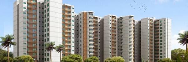  urban-woods Elevation