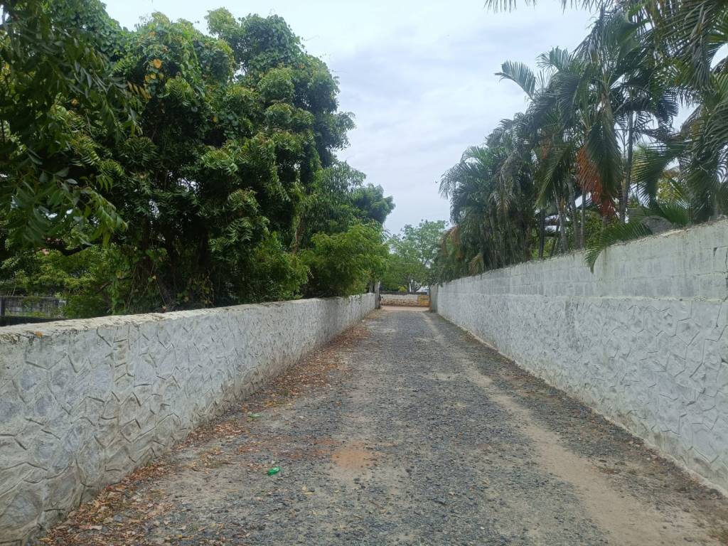  ecr plots Internal Roads & Footpaths
