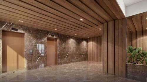  shree-vishnudhara-essence Lift(s)