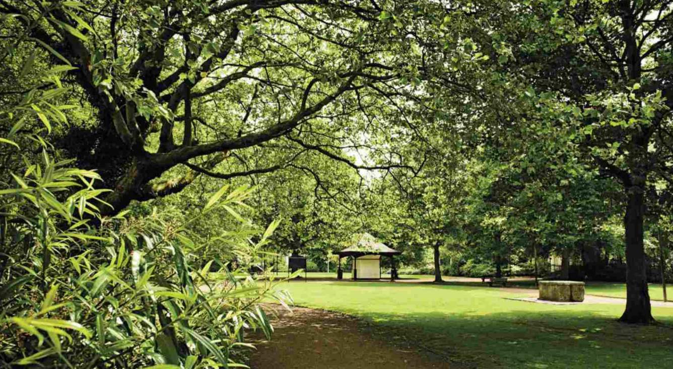  le parque Landscape Garden and Tree Planting
